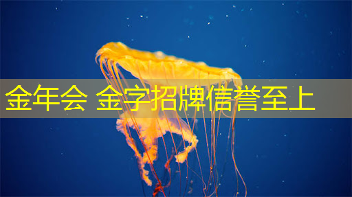 金年会 金字招牌信誉至上：游戏原画五个种类名称是什么
